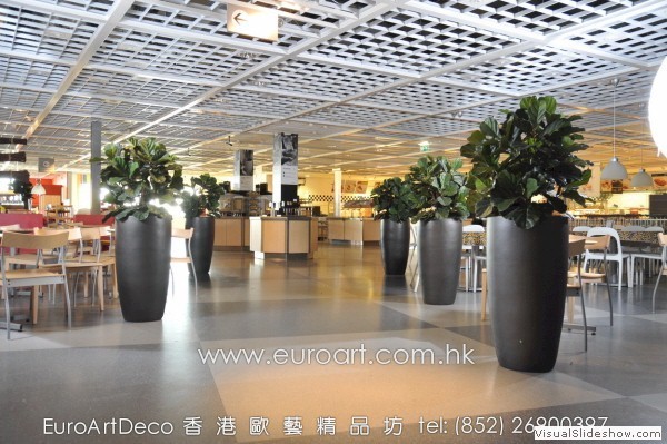 euroarthk-flower-1111