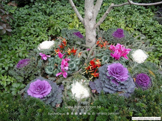 euroarthk-flower-2005