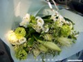 euroarthk-flower-885
